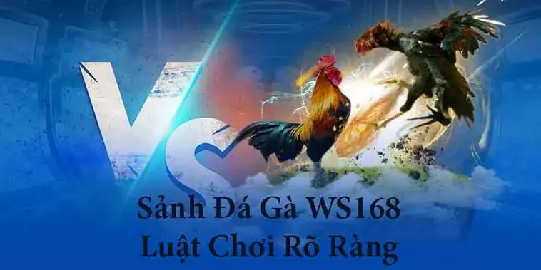 Hướng Dẫn Cách Chơi Đá Gà WS168 Tại S666 Cho Kê Thủ Mới 2 Hướng Dẫn Cách Chơi Đá Gà WS168 Tại S666 Cho Kê Thủ Mới