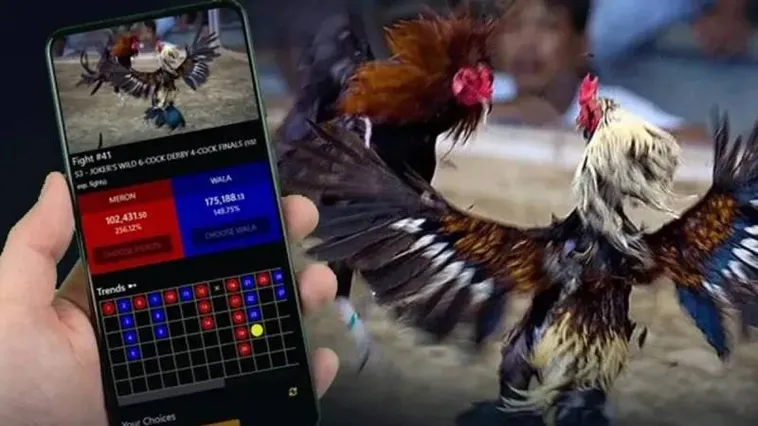 Khám Phá Thế Giới Đá Gà S666 Đỉnh Cao Cho Kê Thủ Chuyên Nghiệp